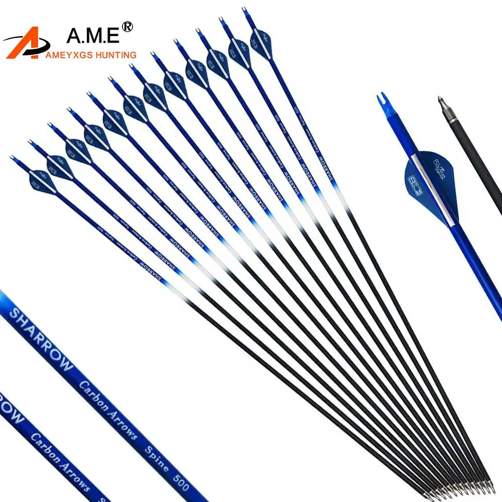 

12 pcs Archery Arrow Carbon Plastic Feathers Spine 500 Replaceable Broadheads for Compound Bow Hunting Practice