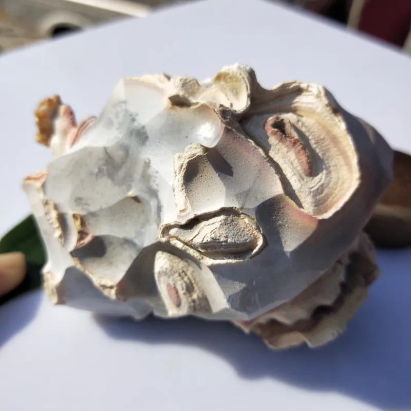 conew_img20190314094412