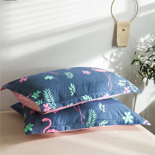 9537607533_1114648488