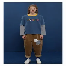 Повседневное Новинка года Для женщин Осень футболка с длинным рукавом хлопок O Средства ухода за кожей шеи поддельные две шт дамы футболка Письма Лоскутная Женская Футболки