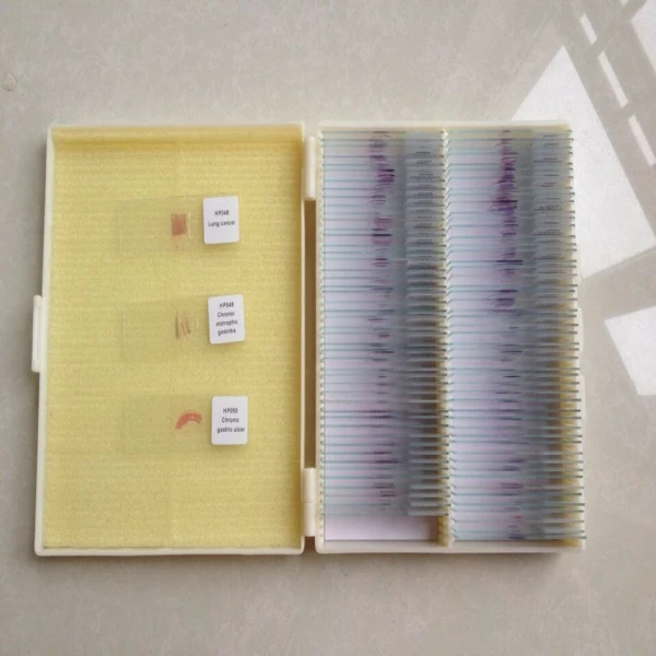 prepared microscope slides (97)