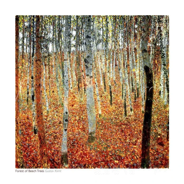 有名な風景絵画の森のブナ木グスタフ レプリカホームアート高品質ハンド塗装 Paintings Modern Art Art Wolfpainting Canvas Acrylic Paint Aliexpress 有名な風景絵画の森のブナ木グスタフ レプリカホームアート高品質ハンド塗装 Paintings Modern Art Art Wolfpainting Canvas Acrylic Paint Aliexpress
