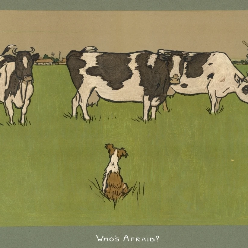 Dog  3 Cows In Field Poster Print By Mary Evans Picture Library (36 X 24)