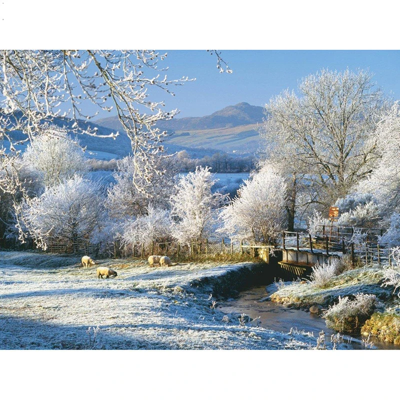 HTB1SEArl0rJ8KJjSspaq6xuKpXaj