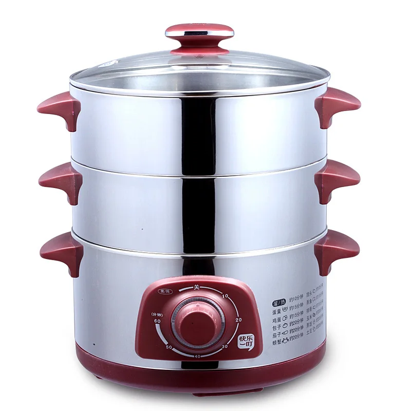 Dzg 26j1 full stainless steel food steamer electric steamer-in Electric