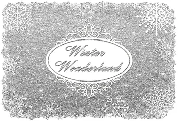 

Winter Wonderland Snowflake Snow Frozen Bokeh Gray photography backgrounds Vinyl cloth Computer print party photo backdrop