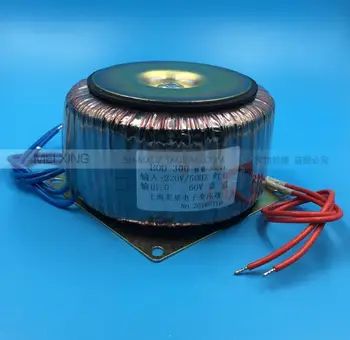 

60V 5A Toroidal transformer 300VA 220V copper custom transformer transformer for power supply transformer