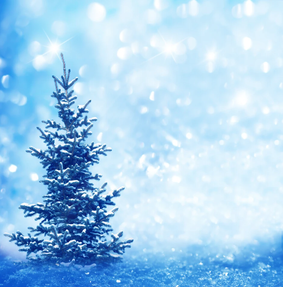 

Vinyl Custom Photography Backdrops Prop Digital Printed Christmas day theme Photo Studio Background CHAN-2012