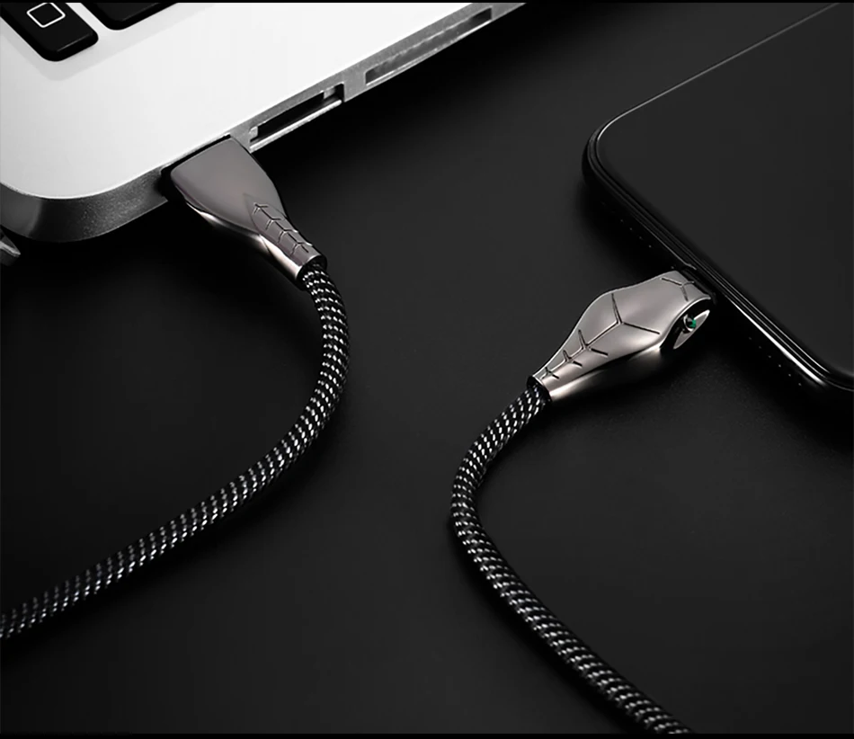 Benks Lightning Cable 8 Pin For Apple iPhone X 10 8 7 6s 5 Plus Se IOS 9 10 3A Fast Charging Cables Snake Shape USB Cable 1 (15)