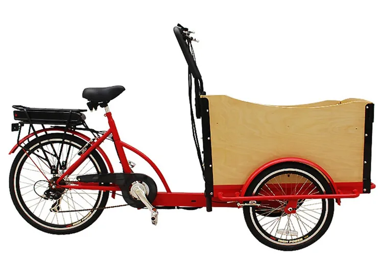 3-wheels-electric-cargo-bike-with-CE (4)_