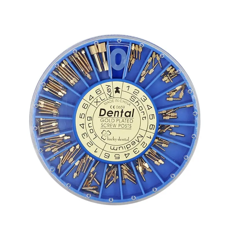 

120pcs Dental Implant Root Canal Nail Stainless Steel Dental Gold Plated Screw Post Tapered Screw Posts Kits Refills File 2 Keys
