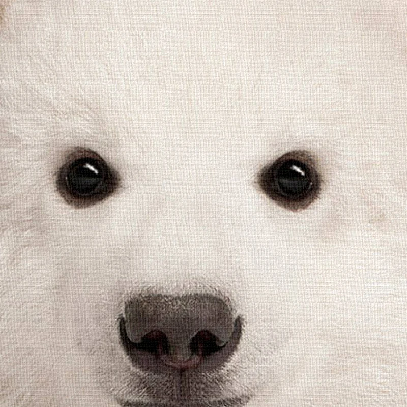il_fullxfull.1266348287_s0uj -  (3)