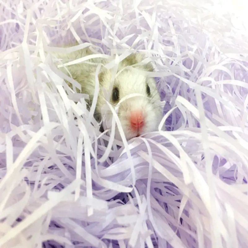 

Colorful Small Animal Cage Substrate Nesting Pet Hamster Supplies Hamster Toy Paper Warm Bedding