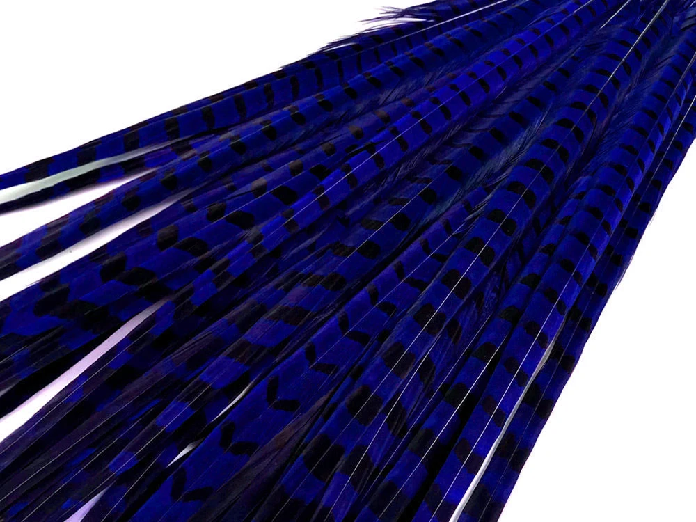 royal blue-2