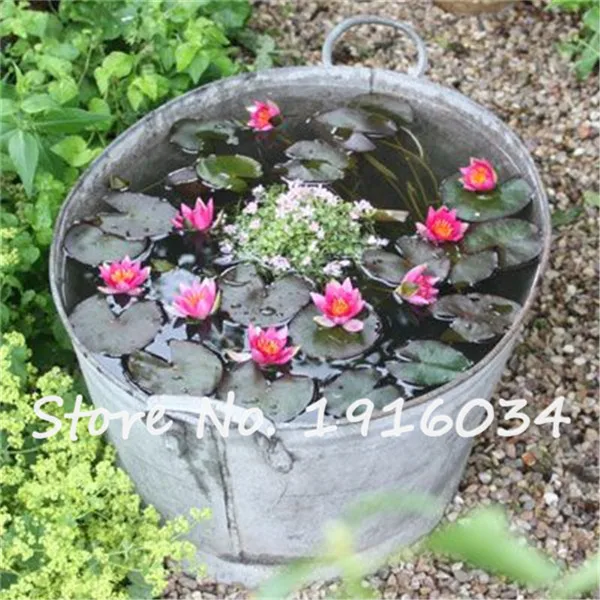 1f237131ead4d1487935c704cea28acc