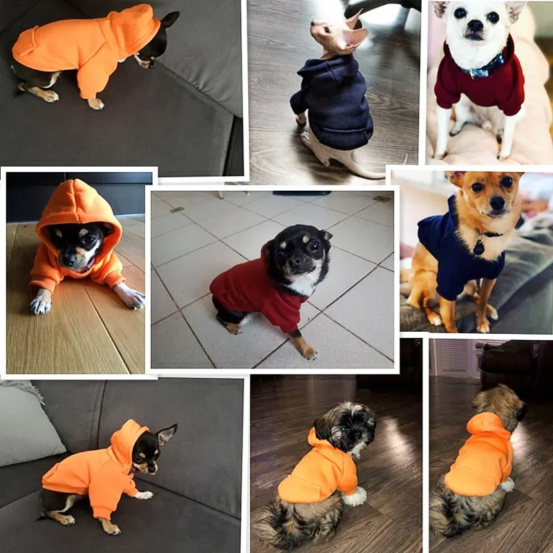 Dog Winter Hoodies