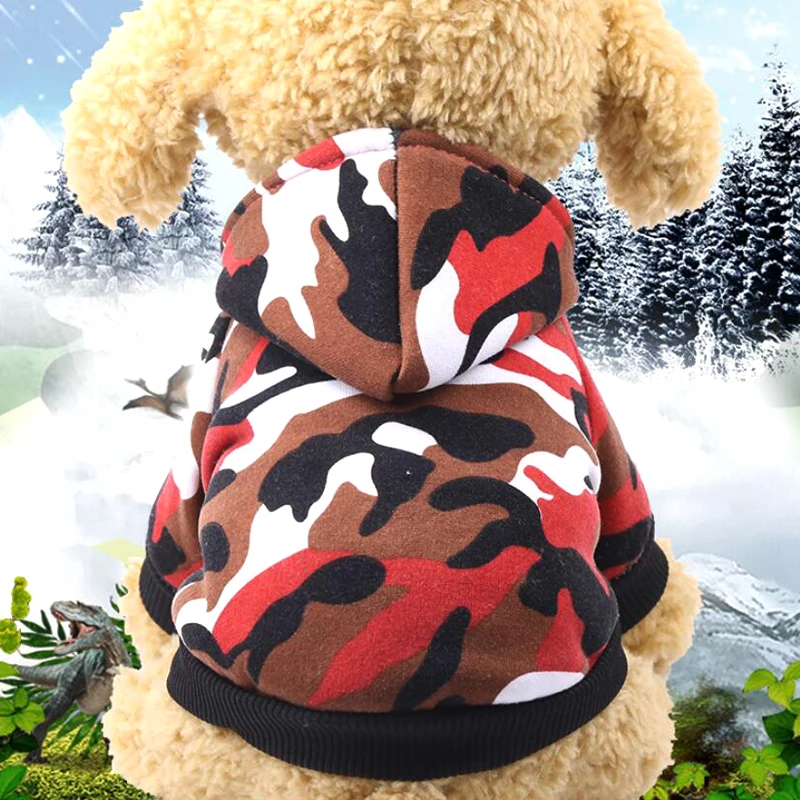 HTB1QoIyqAUmBKNjSZFOq6yb2XXad