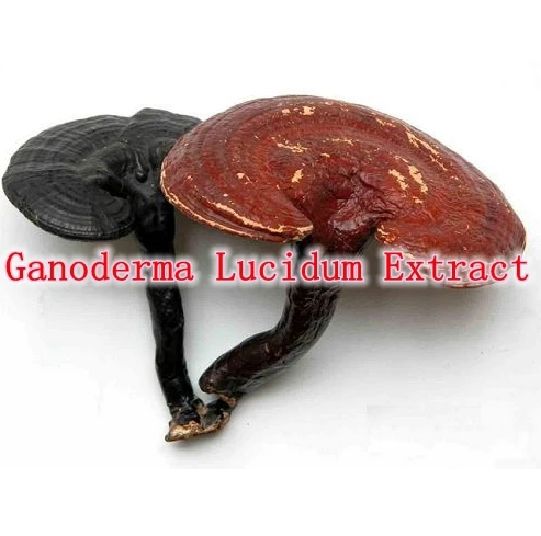 

3Bottles X Ganoderma Lucidum Extract 30% Beta 1,3/1,6 D Glucan 500mg x270caps, free shipping