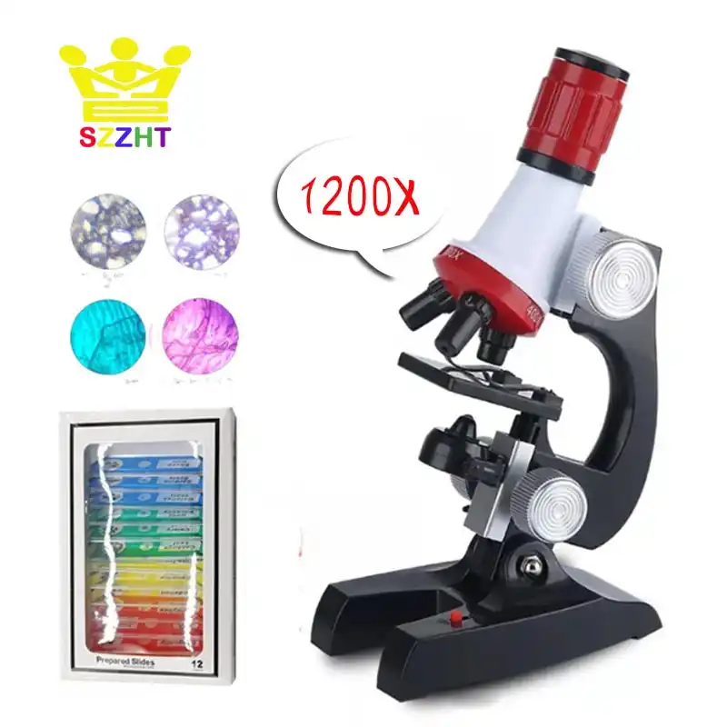 juguetes ciencia para niños