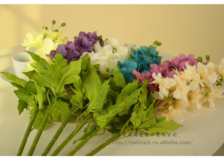 Larkspur Flowe (20)