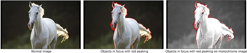 Peaking Fliter2.jpg