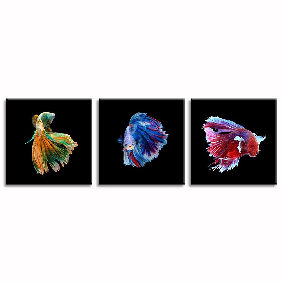 Get Kuesteninnenarchitektur HD Kuesteninnenarchitektur