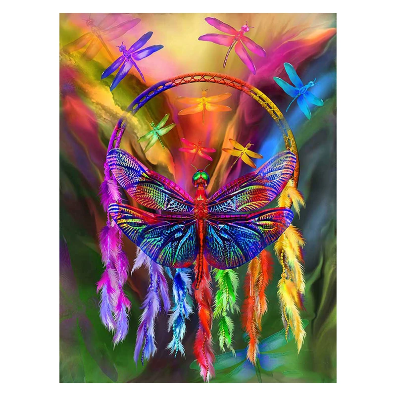 42_RainbowDragonflyDC_Pic
