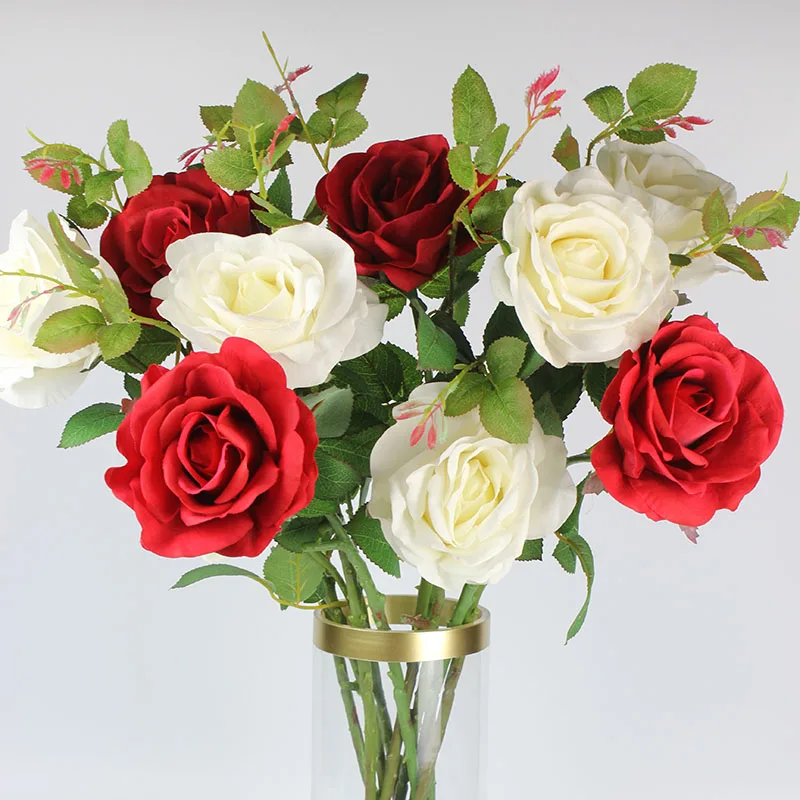 5white 4red