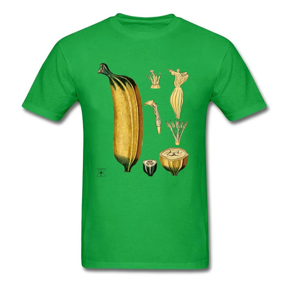 Cotton Fabric Men Short Sleeve Banana Plant Botanical Tropical Fruit T-shirts Slim Fit Tees 2018 Discount Normal O-Neck T Shirts Banana Plant Botanical Tropical Fruit green