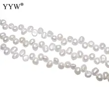 YYW di Alta Qualità di Patate Coltivate D'acqua Dolce Branelli Della Perla bianco naturale 7-8mm Circa 0.8mm Venduto Per Circa 15.2 Inch Strand