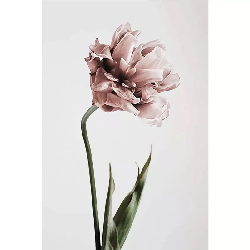 Classical Flower Canvas Painting Plant Nordic Poster Picture Posters Living Room Wall Art Pictures Print Home Decor Unframed