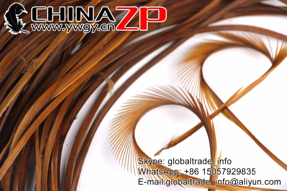 Оптом От chinazp Feathers 200 шт./лот Размер 20 25 см выбранный качественный окрашенный