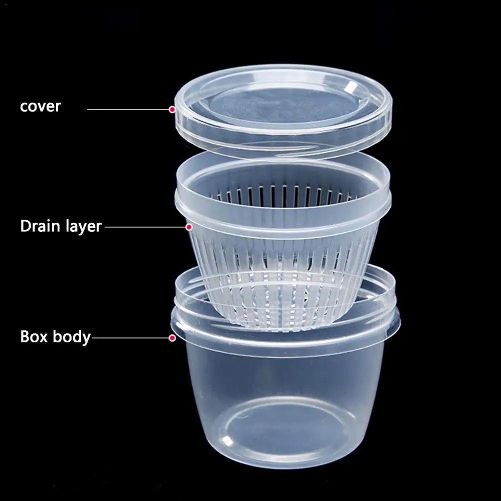 

Fruit Preservation Box Crisper Kitchen Ginger Garlic Storage Box Refrigerator Portable Plastic Colander Strainer Sealed Box