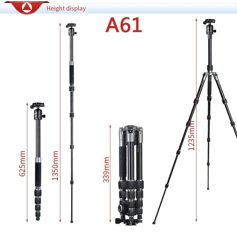 A61-A81+T11_26