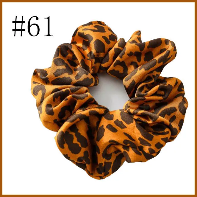 20190218061