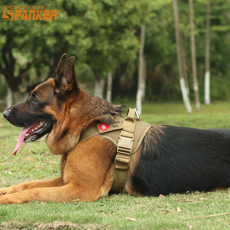 spanker tactical dog harness