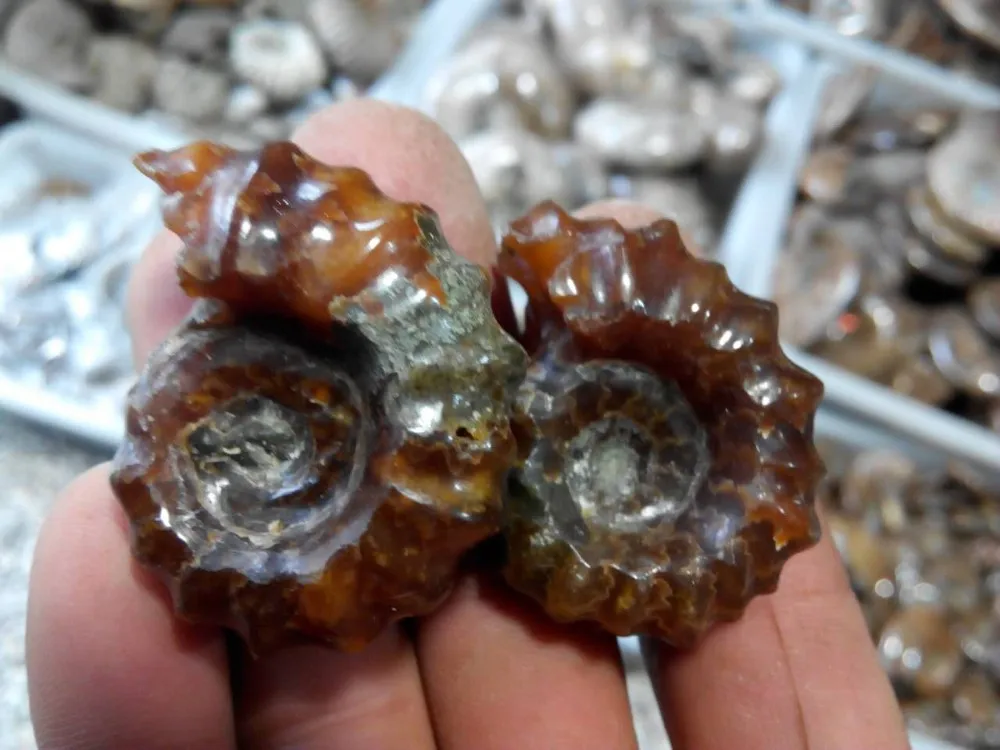 Cheap Solo de cristal