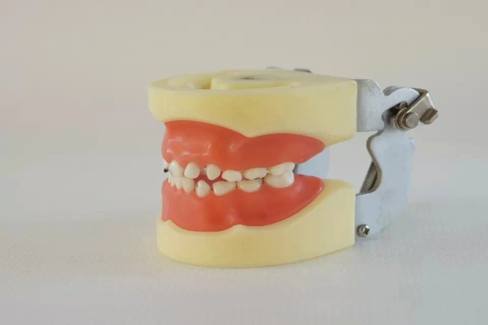 Japanese teeth whitening products