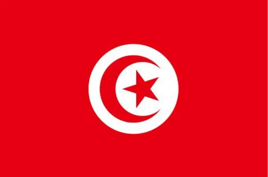 Tunisia Flag Activity Decorative National Banner 90x150cm | Дом и сад