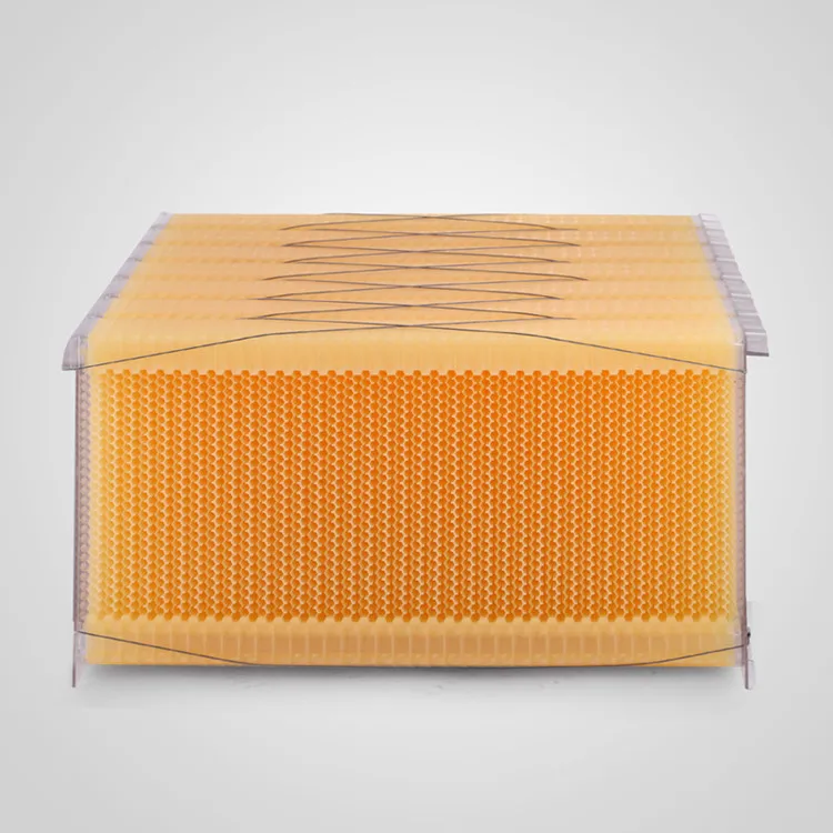 d100-6_副本