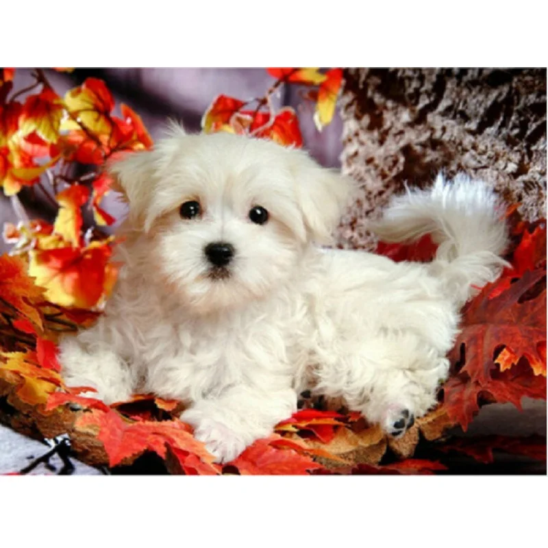

Animal DIY 5D Diamond Painting Stitch Cute Dog Crystal Full Square Diamond Embroidery Home Decoration Wall rhinestones gifts