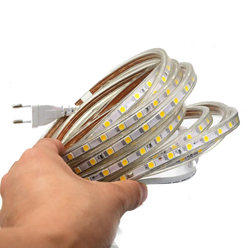 Led Strip Light With Plug 220V SMD 5050 Flexible Led Strip Light 60LED/M IP67 Waterproof Warm