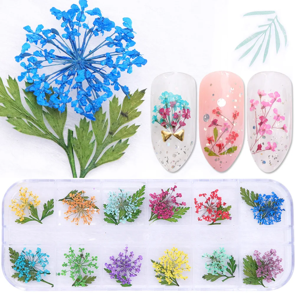 

1case Dried Flower Natural Gypsophila Paniculate Nail Art Floral Leaves Slices Decal 3D Gel Polish Manicure Decor Tool JIFL-MTHY