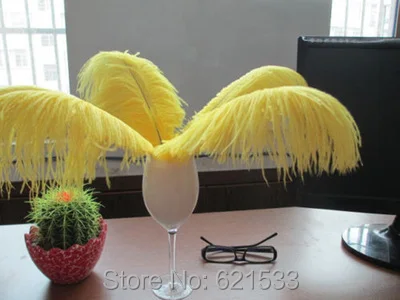 FO110 (2)