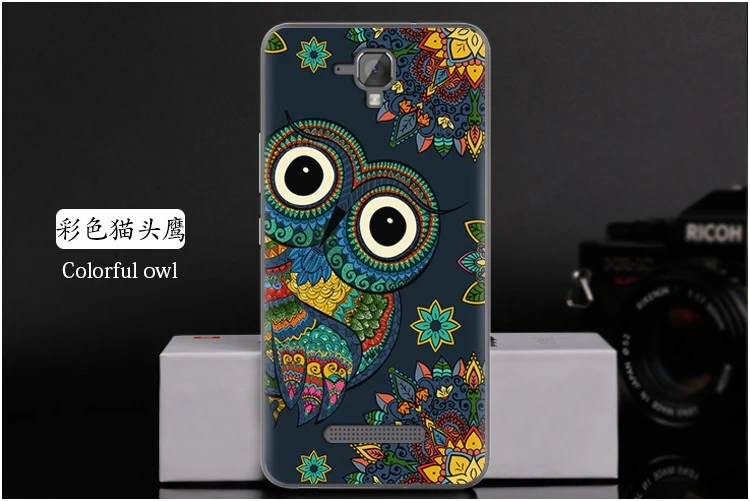  Colorful owl