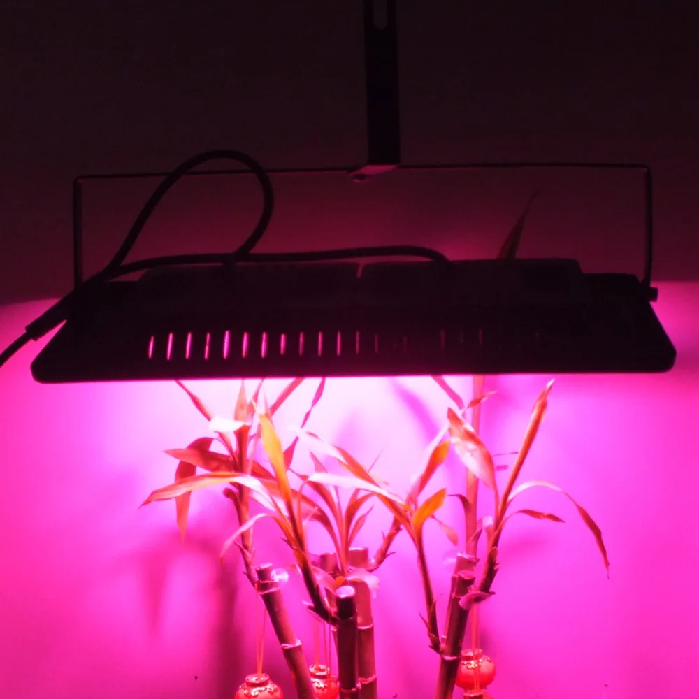 

HNGCHOIGE 100W Waterproof IP67 Aluminum COB LED Grow Light For Indoor Hydroponic Plant