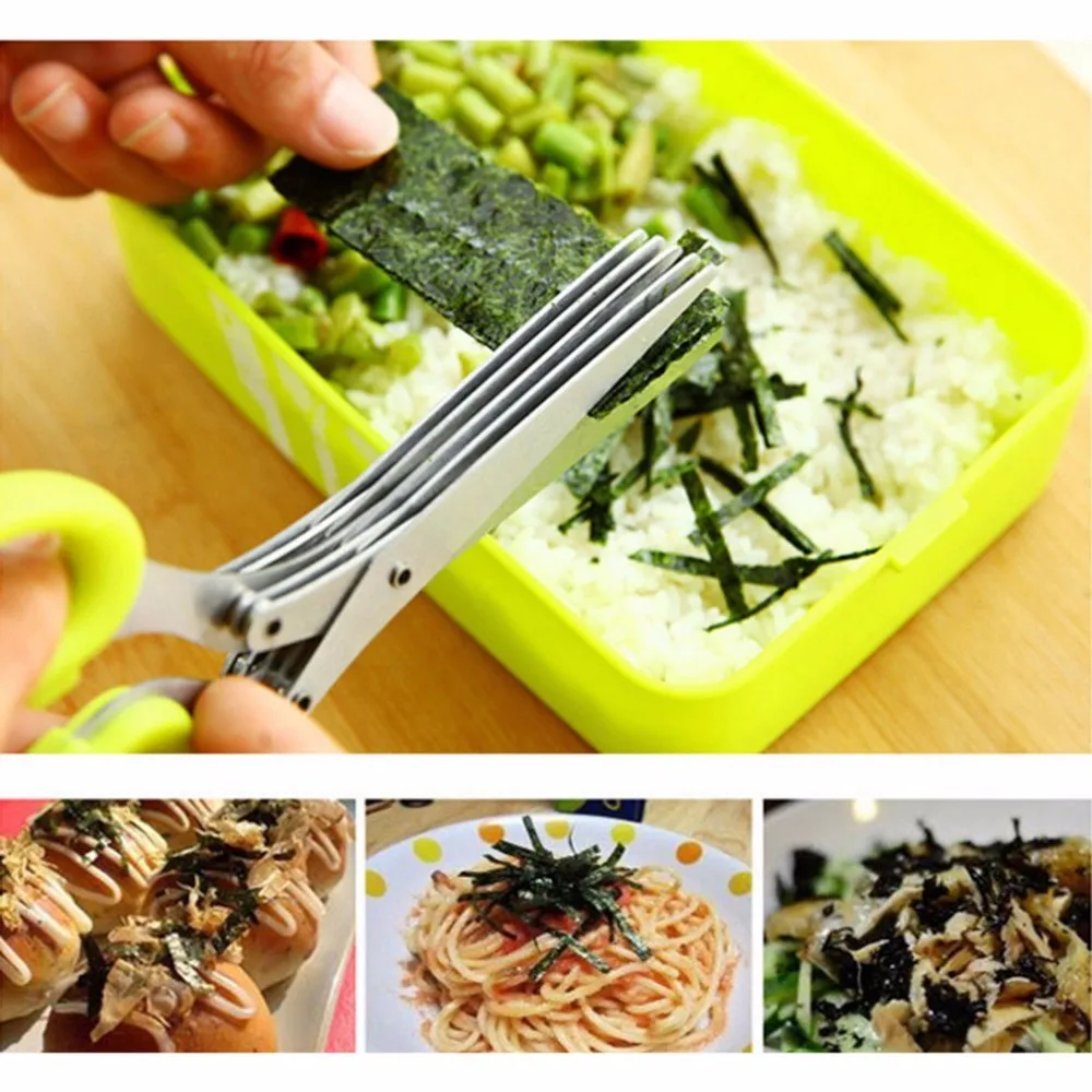 Multi-functional-Stainless-Steel-Kitchen-Knives-5-Layers-Scissors-Sushi-Shredded-Scallion-Cut-Herb-Spices-Scissors (2)