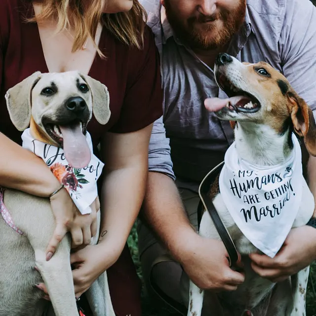 Customize wedding Save The Date Dog Bandana, Save The Date Engagement Photo Props, Save The Date Sign, Dog Engagement Photo