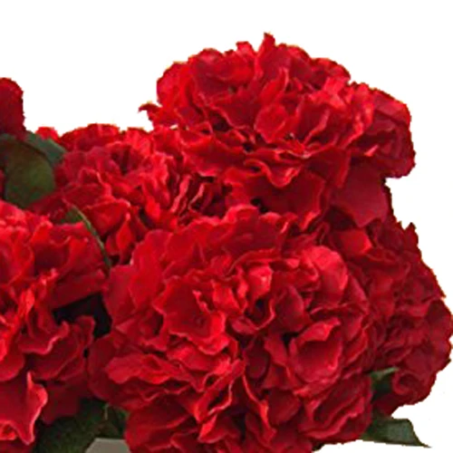 

PHFU Artificial Hydrangea Flower 5 Big Heads Bouquet (Diameter 7" each head) Red