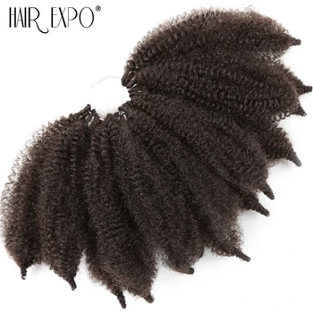 

Hair Expo City Afro Kinky Bulk Crochet Twist Braiding Hair Extension Senegalese Twist Synthetic Fake Hairpiece For Women